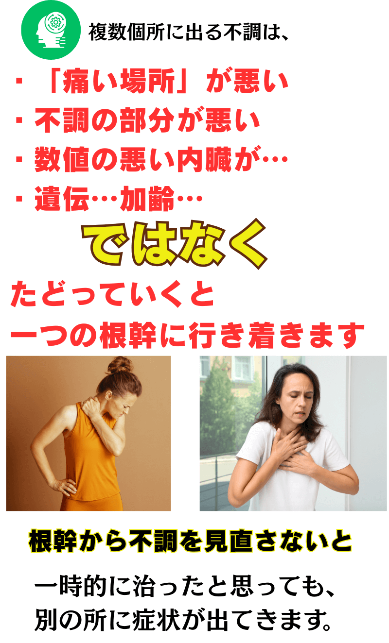 複数個所の不調にはいつの根幹があるというousterの考え