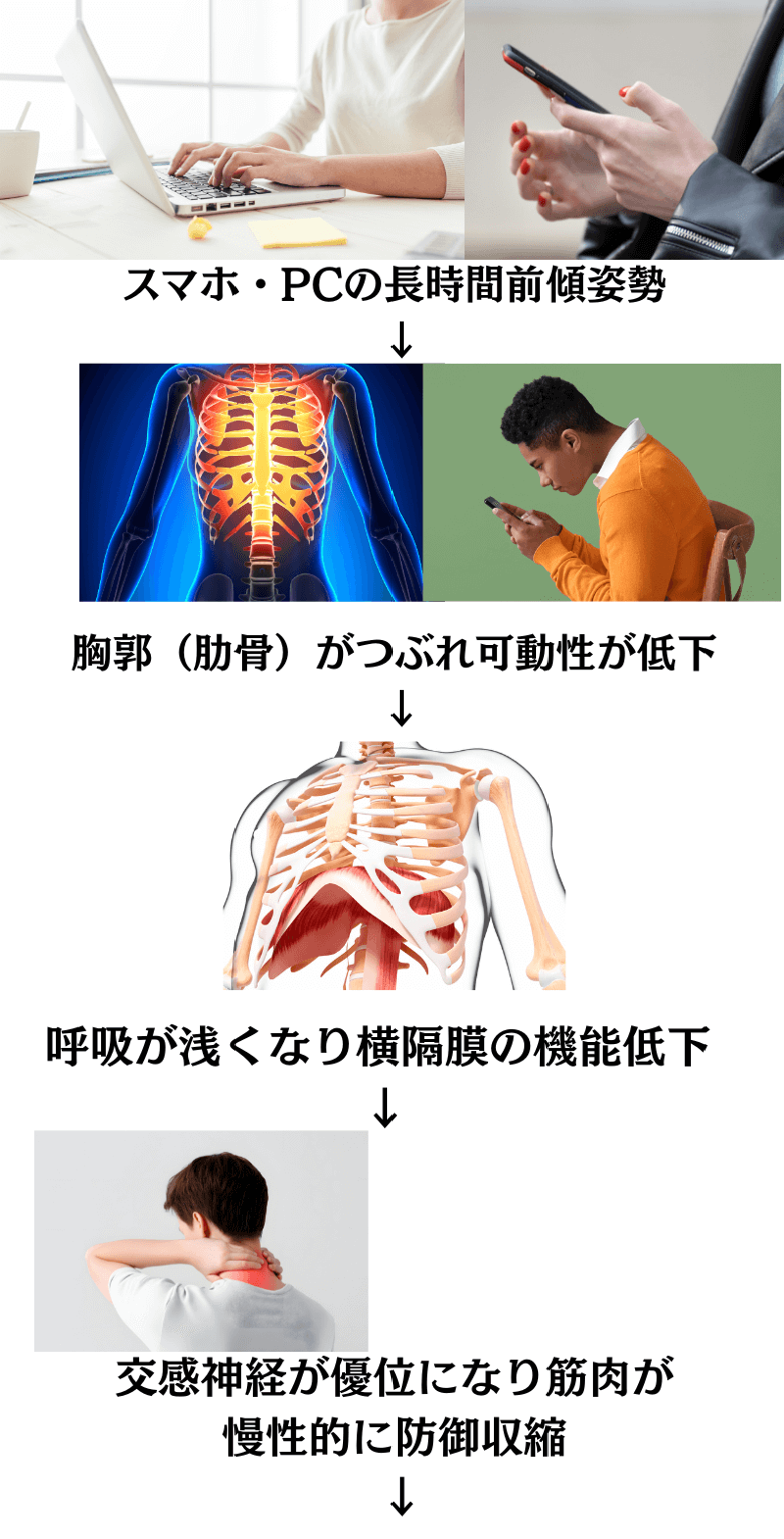 スマホ・PCの長時間前傾姿勢<br><noscript><img src=