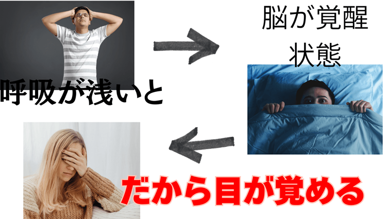 呼吸が浅いと眠れない仕組み