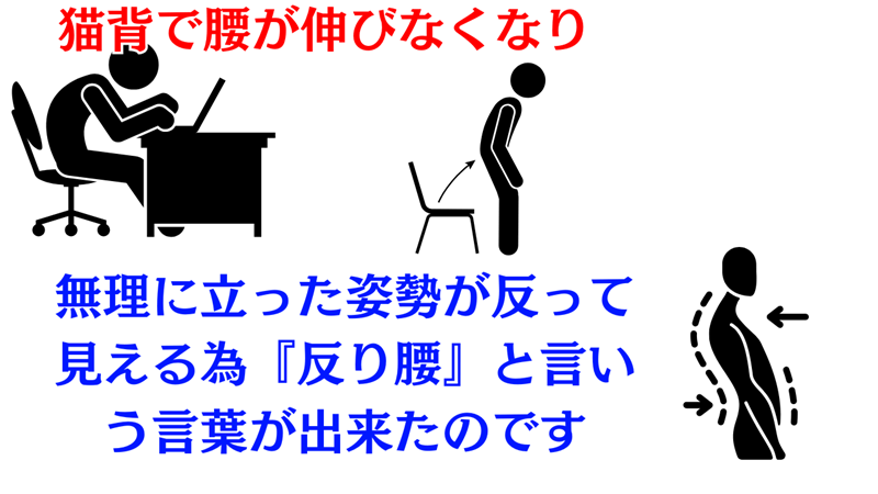 猫背から無理に立つことで反り腰に見える姿勢