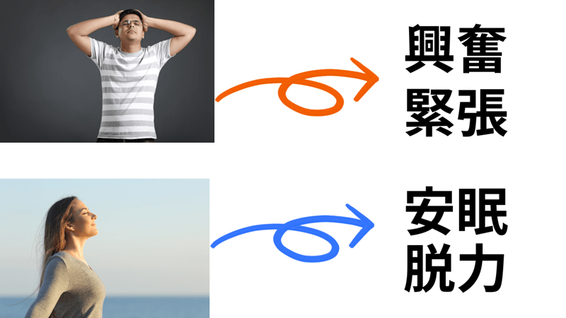 興奮と緊張、安眠と脱力
